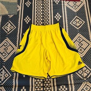 Michigan Wolverines basketball shorts these are nice size medium